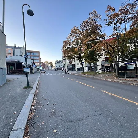 2-newly Redecorated In The Middle Of Centre * Gjøvik