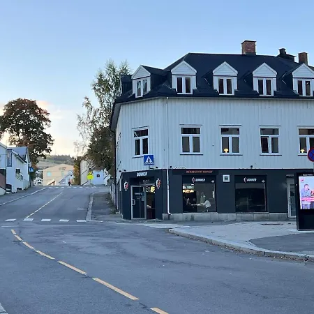Apartamento 2-newly Redecorated In The Middle Of Centre Gjøvik